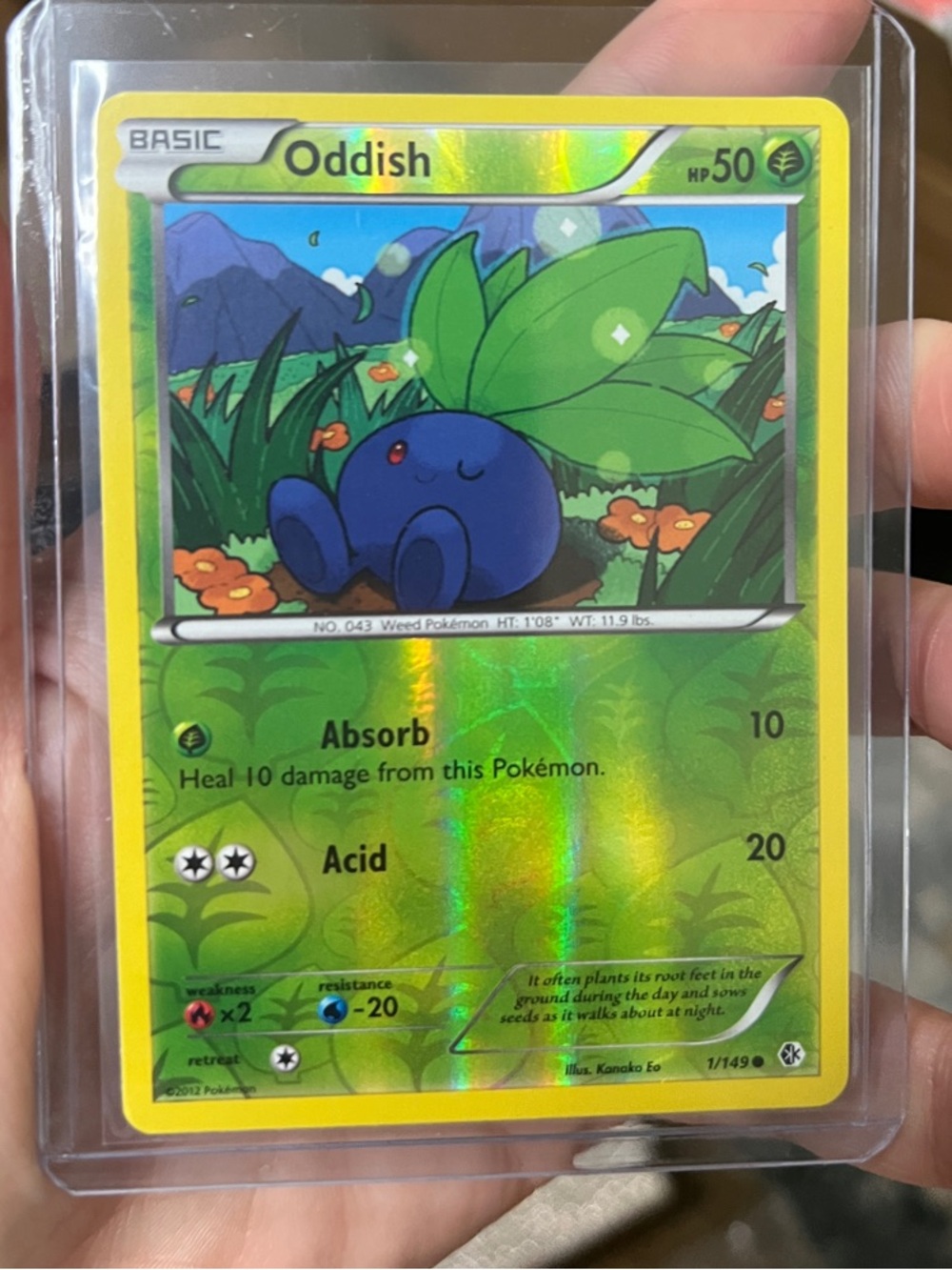 🥬Oddish TCG Pokemon Holo Card - 1/149